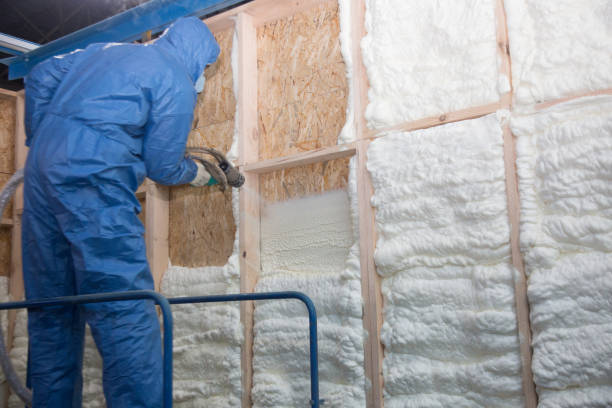 Professional Insulation Services in Hanover Park, IL